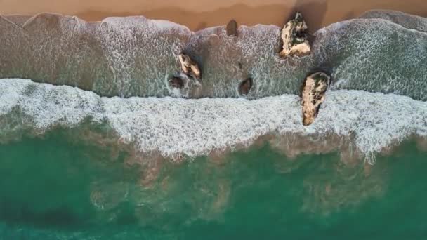Top View Ocean Waves Crashing Limestone Rocks Portimao Portugal — Stock Video