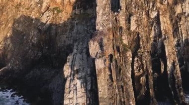Okyanusun üzerindeki dikey kayanın kıyısındaki beyaz Avrupa leyleğinin yuvasının etrafında uçuyor. Cabo Sardao, Portekiz