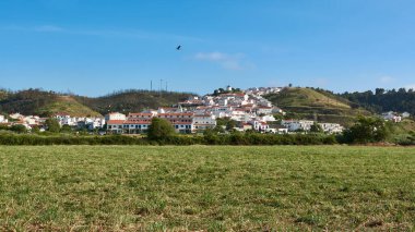 Büyük leylek Alentejo bölgesindeki tipik Portekiz köyü Ohexe 'nin üzerinde gökyüzünde süzülüyor. Kırsal alanda beyaz evler, kırmızı kiremitli çatılar ve arka planda yel değirmeni.