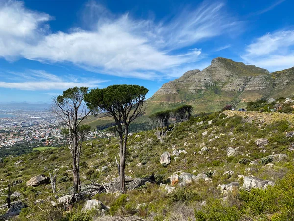 Vue Cap Depuis Route Sous Montagne Table Afrique Sud — Photo