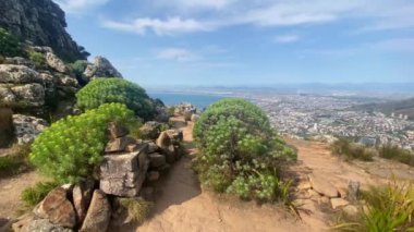 Şehir merkezi, Masa dağı ve kıyıları Lions Head tepesi, Cape Town, Güney Afrika.