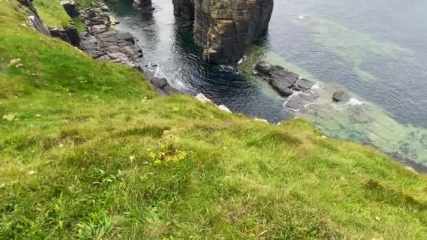 Ruiner Castle Sinclair Girnigoe Skottland Den Ligger Rundt Nord Wick – stockvideo