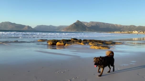 Západ Slunce Prázdné Pláži Západní Mys Jihoafrická Republika — Stock video