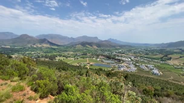 Viñedos Con Montañas Fondo Cerca Stellenbosch Sudáfrica — Vídeos de Stock