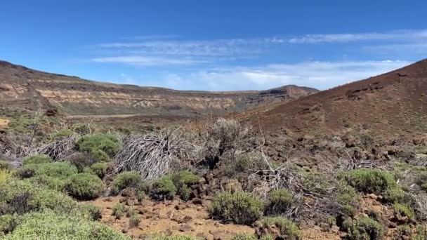 Krajobraz Parku Narodowym Teide Znajduje Się Teneryfie Największej Hiszpańskich Wysp — Wideo stockowe