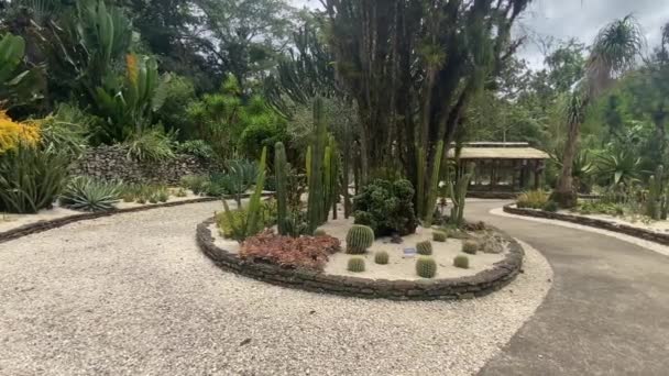 식물원 Lankester Botanical Gardens 코스타리카의 카르타고 외곽에 정원들의 집합체이다 정원은 — 비디오