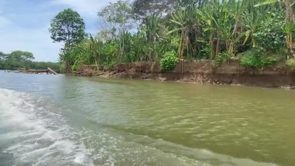 Στο Τουριστικό Σκάφος Στον Ποταμό Ρίο Φριο Στο Cano Negro — Αρχείο Βίντεο