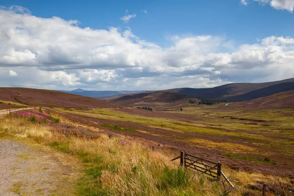 Collines Pleines Bruyère Dans Col Cairnwell Dans Les Highlands Écossais — Photo