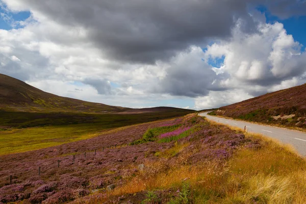 Skoçya Skoçya Nın Cairnwell Geçidi Ndeki Fundalıklarla Dolu Tepeler Cairnwell — Stok fotoğraf
