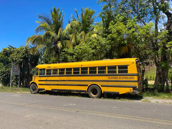 Гуасимал Коста Рика Апреля 2023 Старый Американский Школьный Автобус Ярко — стоковое фото