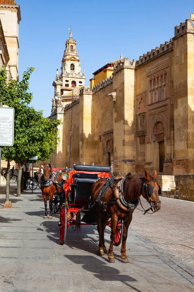 Cordoba, İspanya - 11 Şubat 2022: İspanya 'nın Endülüs kentindeki Cordoba camisinin yanına park edilmiş kırmızı at arabası. Cordoba caddesinde at ve kızak gezisi.