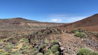 Teide Ulusal Parkı 'ndaki manzara Tenerife' de, Spains Kanarya Adaları 'nın en büyüğü. Adını İspanya 'nın en yüksek zirvesi olan Teide Dağı' ndan almıştır.