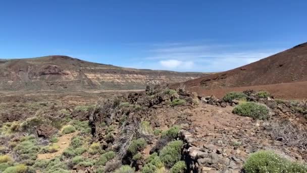Die Landschaft Teide Nationalpark Liegt Auf Teneriffa Der Größten Der — Stockvideo