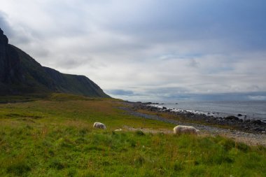 Sahilde, Eggum, Lofoten Adaları, Norveç