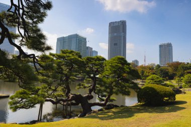 Tokyo, Japonya - 12 Ağustos 2023 Hamarikyu Bahçeleri 'nde. Chuo Ward, Tokyo, Japonya 'da halka açık bir park..