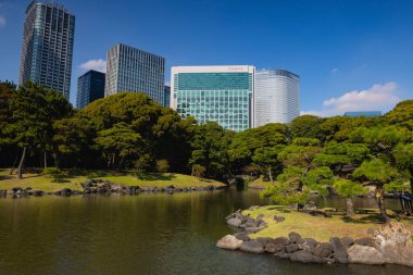Tokyo, Japonya - 12 Ağustos 2023 Hamarikyu Bahçeleri 'nde. Chuo Ward, Tokyo, Japonya 'da halka açık bir park..