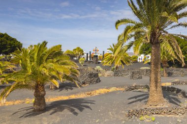Cesar Manrique Vakfı 'ndaki bahçe. Cesar Manrique tarafından tasarlanmış eşsiz bir evde yer almaktadır.