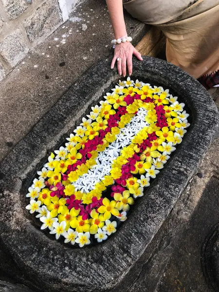Dambulla Sri Lanka Janeiro 2019 Mulher Pequeno Poço Cheio Flores Fotos De Bancos De Imagens