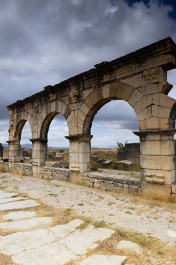 Volubilis, Fas 'ın Meknes kenti yakınlarında kısmen kazılmış bir Berberi-Roma kentidir.