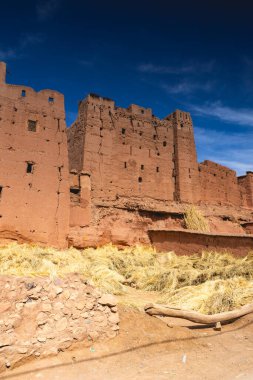 Mutluluk Vadisi 'ndeki elma bahçesinin üstündeki tepede bir cami..