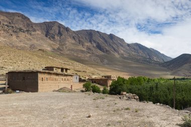 Mutluluk Vadisi 'ndeki elma bahçesinin üstündeki tepede bir cami..