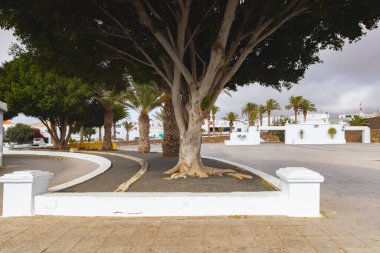 Teguise, Lanzarote, Kanarya Adaları, İspanya 'daki açık meydan.