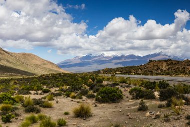 Peru, Altiplano 'yu geçerken...
