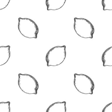 Taze Lemon, El Çizimi Vektörü, Grafik Tarzı, Çizgi Film İllüstrasyonu, Siyah ve Beyaz, Skeç Tarzı, Beyaz Arkaplanda İzole Edilmiş