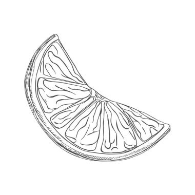 Taze Lemon, El Çizimi Vektörü, Grafik Tarzı, Çizgi Film İllüstrasyonu, Siyah ve Beyaz, Skeç Tarzı, Beyaz Arkaplanda İzole Edilmiş