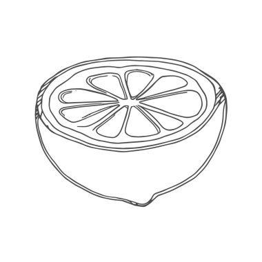 Taze Lemon, El Çizimi Vektörü, Grafik Tarzı, Çizgi Film İllüstrasyonu, Siyah ve Beyaz, Skeç Tarzı, Beyaz Arkaplanda İzole Edilmiş