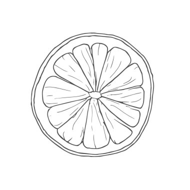 Taze Lemon, El Çizimi Vektörü, Grafik Tarzı, Çizgi Film İllüstrasyonu, Siyah ve Beyaz, Skeç Tarzı, Beyaz Arkaplanda İzole Edilmiş