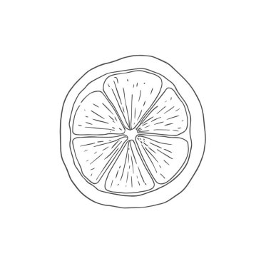 Taze Lemon, El Çizimi Vektörü, Grafik Tarzı, Çizgi Film İllüstrasyonu, Siyah ve Beyaz, Skeç Tarzı, Beyaz Arkaplanda İzole Edilmiş