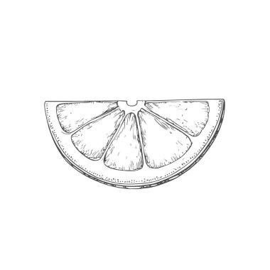 Taze Lemon, El Çizimi Vektörü, Grafik Tarzı, Çizgi Film İllüstrasyonu, Siyah ve Beyaz, Skeç Tarzı, Beyaz Arkaplanda İzole Edilmiş
