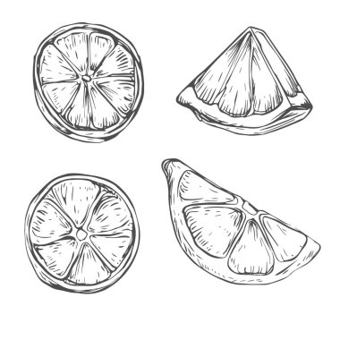 Taze Lemon, El Çizimi Vektörü, Grafik Tarzı, Çizgi Film İllüstrasyonu, Siyah ve Beyaz, Skeç Tarzı, Beyaz Arkaplanda İzole Edilmiş