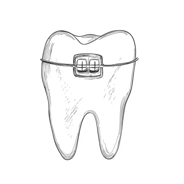 Diş, El Çekimi Vektörü, Grafik Tarzı, Çizgi Film İllüstrasyonu, Siyah ve Beyaz, Skeç Tarzı, Beyaz Arkaplanda İzole Edilmiş