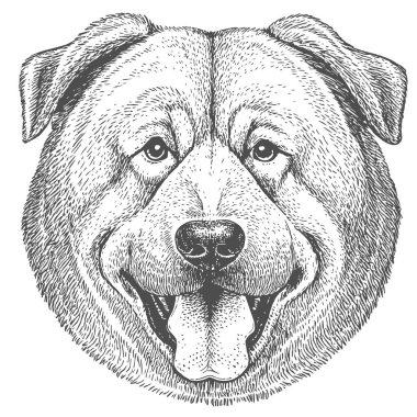 Köpek Yüzü, El Çekimi Vektörü, Grafik Tarzı, Çizgi Film İllüstrasyonu, Siyah ve Beyaz, Skeç Tarzı, Beyaz Arkaplanda İzole Edilmiş