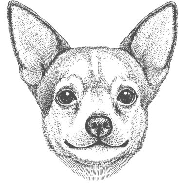 Köpek Yüzü, El Çekimi Vektörü, Grafik Tarzı, Çizgi Film İllüstrasyonu, Siyah ve Beyaz, Skeç Tarzı, Beyaz Arkaplanda İzole Edilmiş