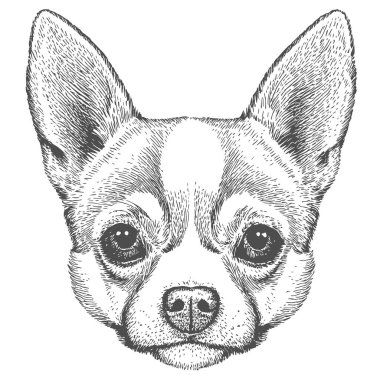 Köpek Yüzü, El Çekimi Vektörü, Grafik Tarzı, Çizgi Film İllüstrasyonu, Siyah ve Beyaz, Skeç Tarzı, Beyaz Arkaplanda İzole Edilmiş
