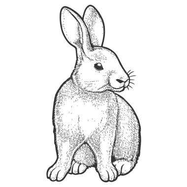 Wild Hare, Hand-Drawn Vector, Graphic Style, Cartoon Illustration, Black and White, Sketch Style, Isolated on White Background clipart