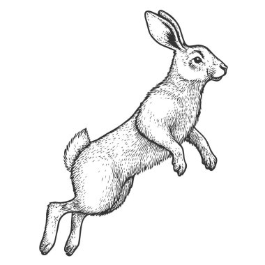 Tavşan Sıçrama, El Çizimi Vektörü, Grafik Tarzı, Çizgi Film İllüstrasyonu, Siyah ve Beyaz, Çizim Tarzı, Beyaz Arkaplanda İzole Edilmiş