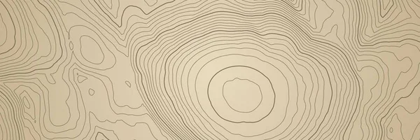 Абстрактный Топографический Фон Карты Коричневыми Линиями Высоты — стоковый вектор