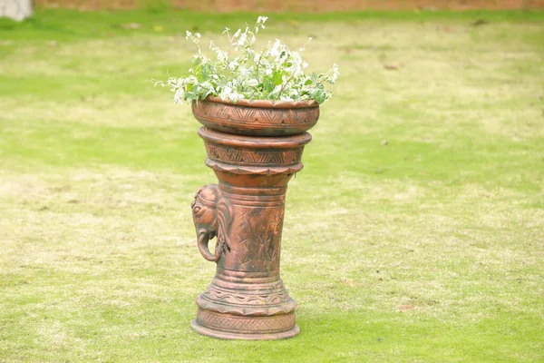 Decoratieve Plant Tuin — Stockfoto