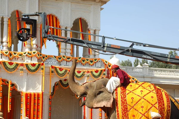 stock image Man with Elephant On Show Hyderabad India 30th Oct 2022