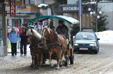 Turist At Koçu Bern İsviçre 15 Kasım 2022
