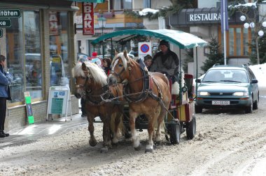 Turist At Koçu Bern İsviçre 15 Kasım 2022