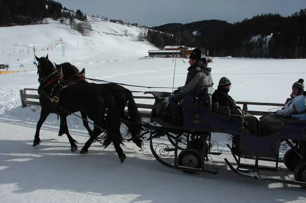 Tourist Horse Coach Carriage Bern Switzerland 15Th Nov 2022 — Stock Photo, Image