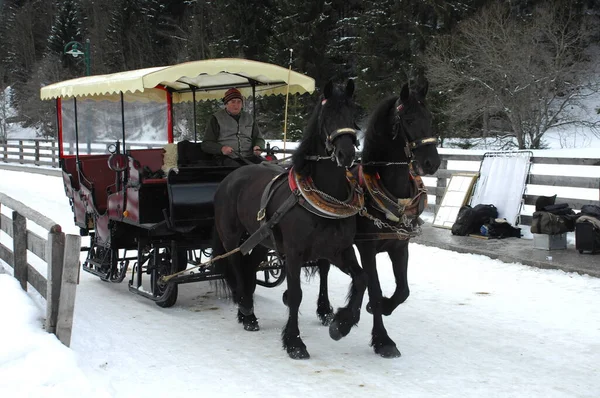 stock image Tourist Horse Coach Carriage Bern Switzerland 15th Nov 2022