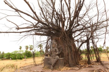 Hindu God Statue at tree