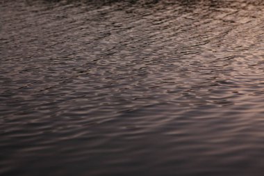 Kırsal Köy Bölgesi Hindistan