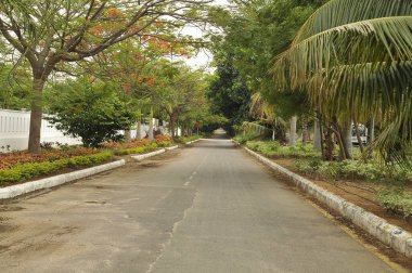 Katran Yolu Kırsal Alanı